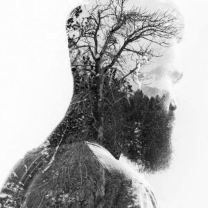 Los conciertos del frío