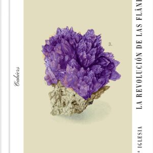 LA REVOLUCIÓN DE LAS FLÂNEUSES