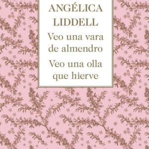 VEO UNA VARA DE ALMENDRO. VEO UNA OLLA QUE HIERVE