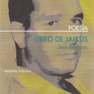 LIBRO DE JAIKUS