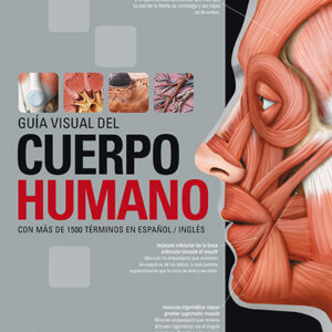 GUÍA VISUAL DEL CUERPO HUMANO