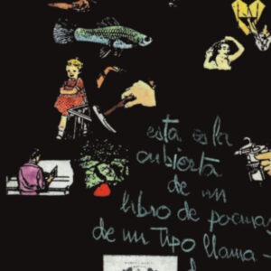 El ómnibus sin sentido