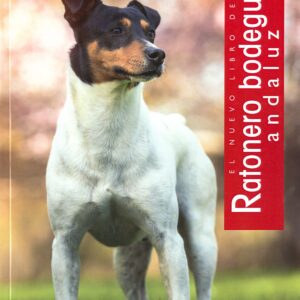 Ratonero Bodeguero andaluz