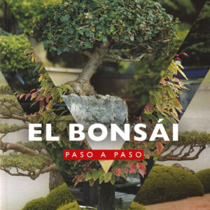 El bonsái paso a paso