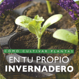 Cómo cultivar plantas en tu propio invernadero