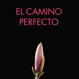 El camino perfecto