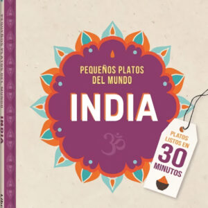 INDIA PEQUEÑOS PLATOS DEL MUNDO