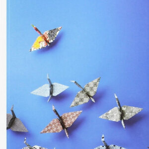 GRUPOS DE ENCUENTRO (NE)