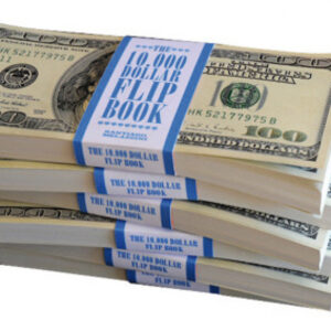 10000 DOLLAR FLIP BOOK