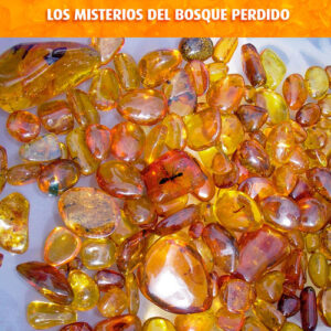 ÁMBAR. LOS MISTERIOS DEL BOSQUE PERDIDO