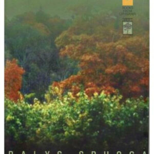 EL BOSQUE DE LOS DIOSES