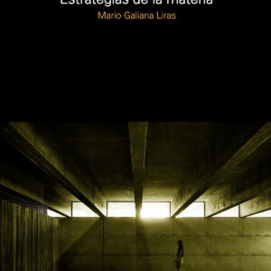 ESTRATEGIAS DE LA MATERIA