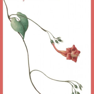 Emily Dickinson (CAT)