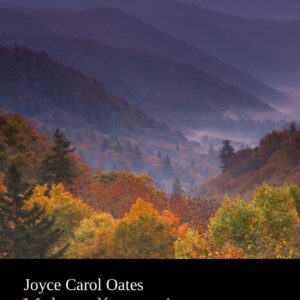 Melancolía americana