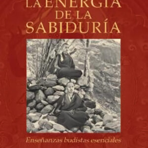 ENERGIA DE LA SABIDURIA, LA