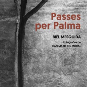 Passes per Palma