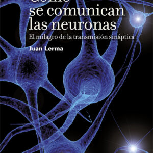Cómo se comunican las neuronas