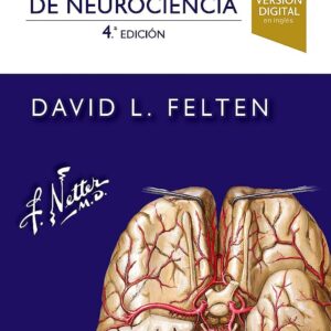 NETTER FLASHCARDS DE NEUROCIENCIA 4ª ED