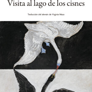 Visita al lago de los cisnes