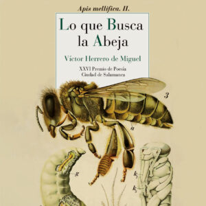 Lo que busca la abeja