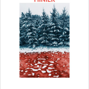 El valle (Comandante Servaz 6)