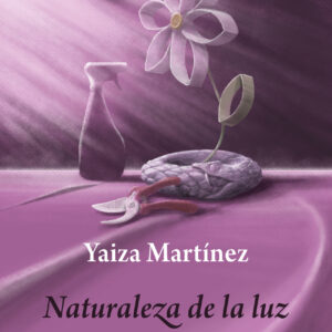 Naturaleza de la luz