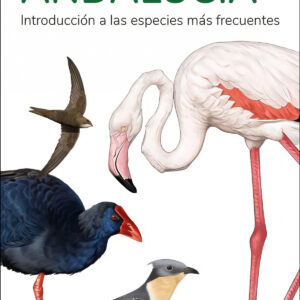 AVES DE ANDALUCIA - GUIAS DESPLEGABLES TUNDRA