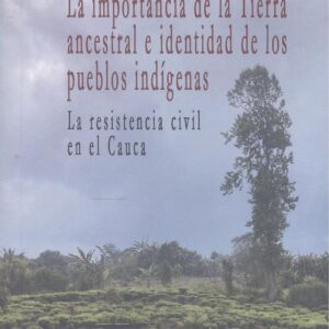 LA IMPORTANCIA DE LA TIERRA ANCESTRAL E IDENTIDAD DE LOS PUE