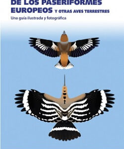 IDENTIFICACION EN VUELO DE LOS PASERIFORMES EUROPEOS