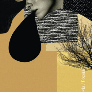 Las frases frágiles