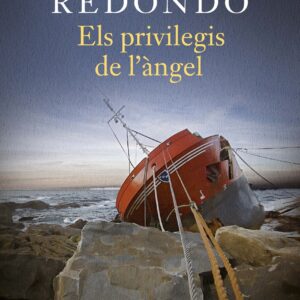 Els privilegis de l'àngel
