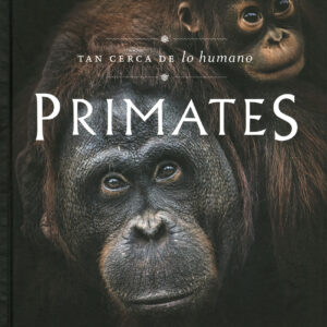 Primates. Tan cerca de lo humano