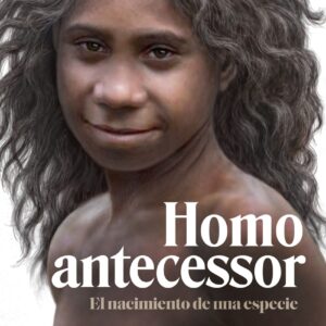 Homo antecessor