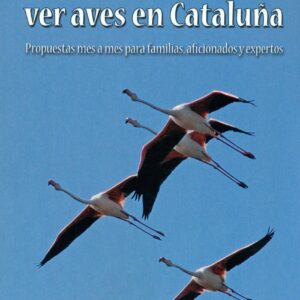 Cuando y donde ver aves en Cataluña