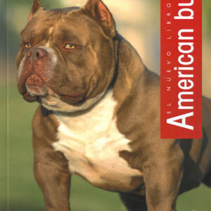 American bully